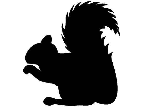 Животные 2247 Животные 2247