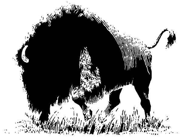 Животные 117