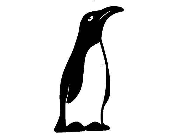 Животные 1211