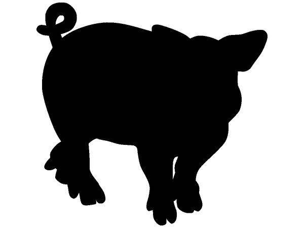 Животные 3546 Животные 3546