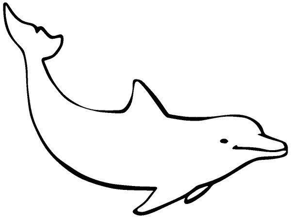 Животные 3262 Животные 3262