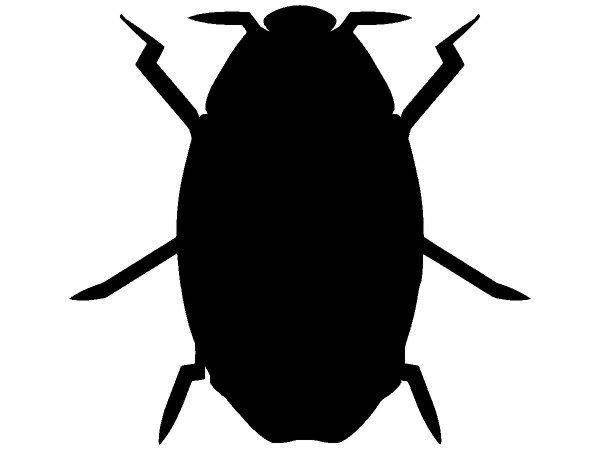 Животные 3060