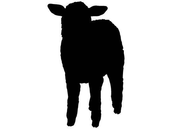 Животные 452