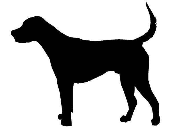 Животные 3766 Животные 3766