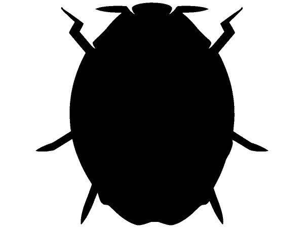 Животные 3045 Животные 3045