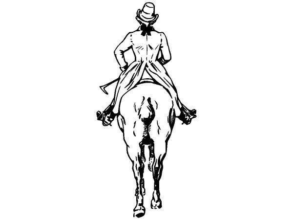 Животные 2889