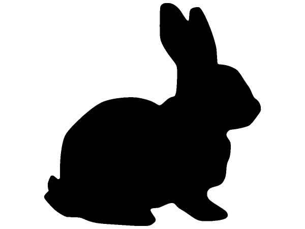 Животные 361