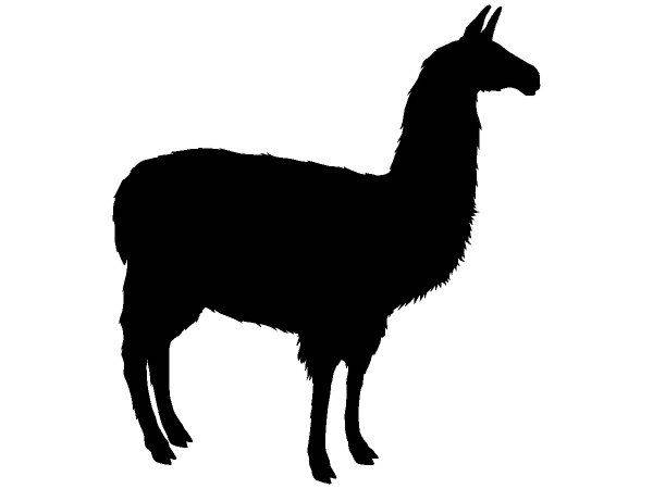 Животные 1656