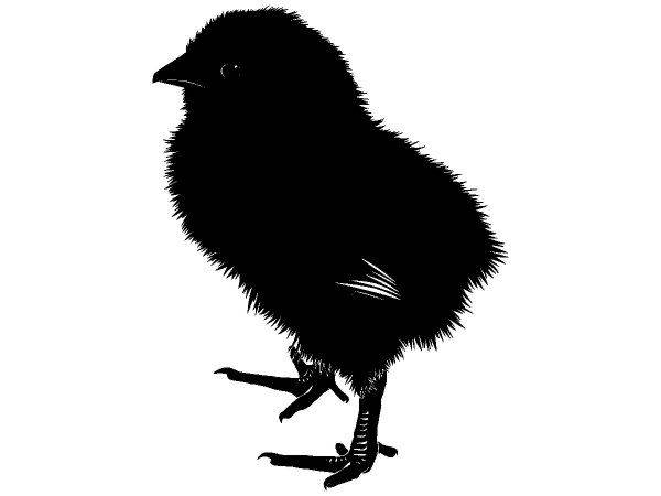 Животные 4247