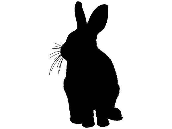 Животные 4156