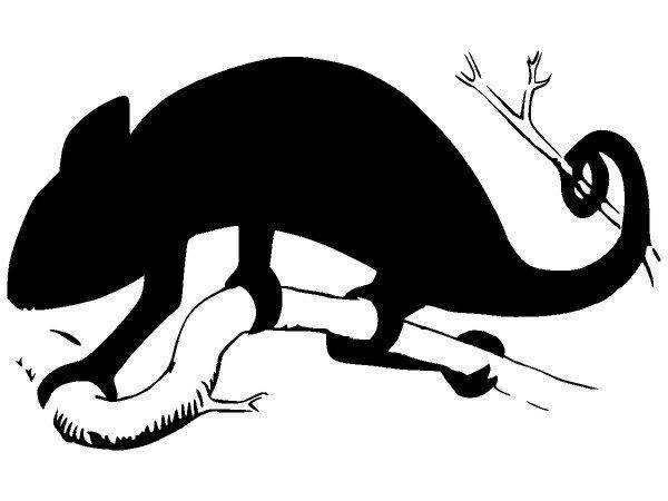 Животные 3223 Животные 3223