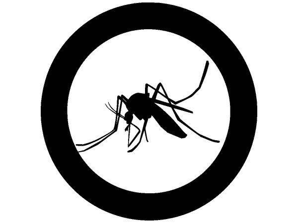 Животные 3193 Животные 3193