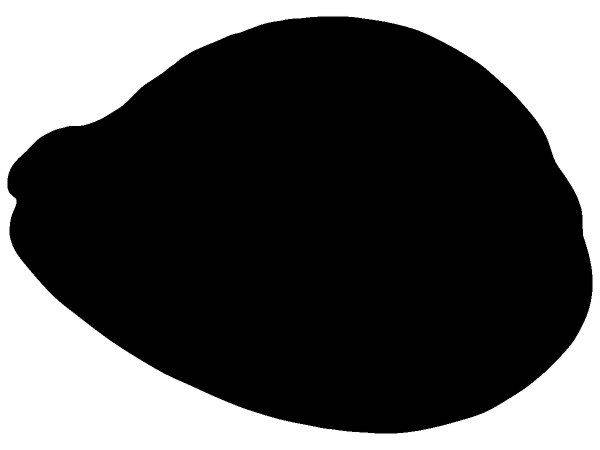 Животные 3068 Животные 3068