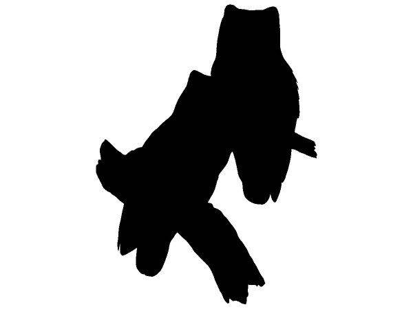 Животные 3372