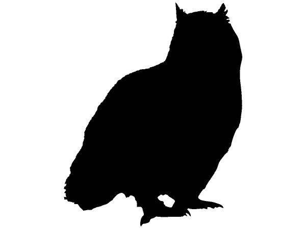 Животные 2243 Животные 2243