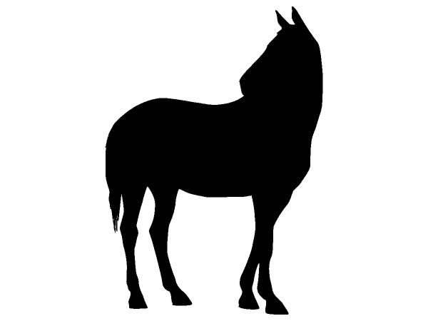 Животные 1190