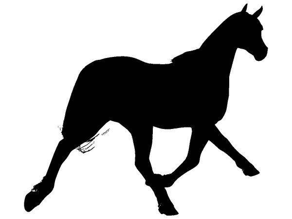 Животные 4008 Животные 4008