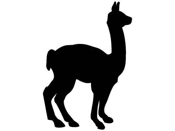 Животные 3630 Животные 3630