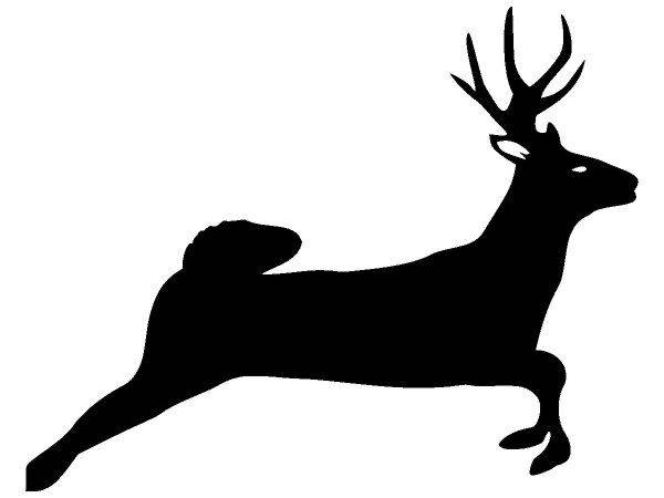 Животные 1329