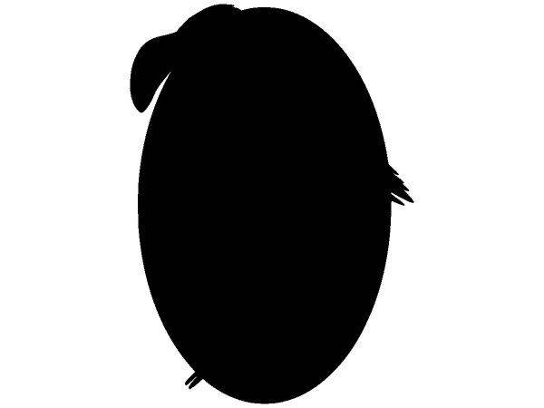 Животные 3130 Животные 3130