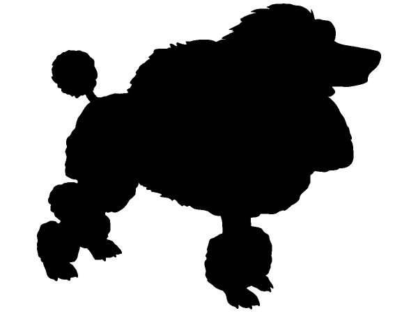 Животные 420