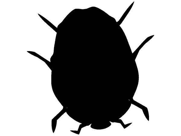 Животные 3047