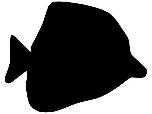 Животные 2400 Животные 2400