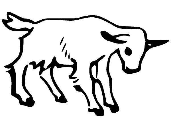 Животные 507