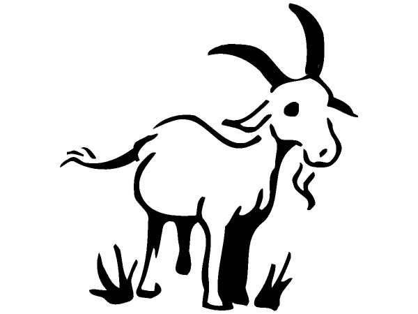 Животные 171