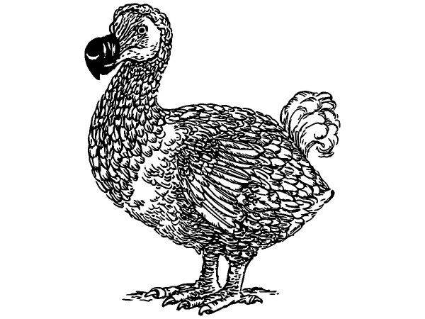 Животные 3774 Животные 3774