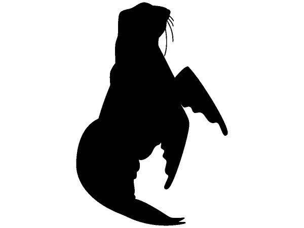 Животные 3704 Животные 3704