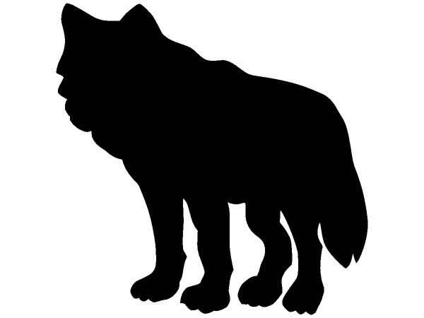 Животные 859