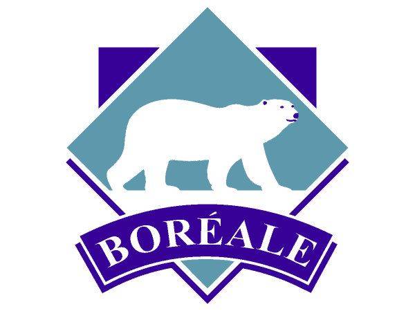 Boreal logo Boreal logo