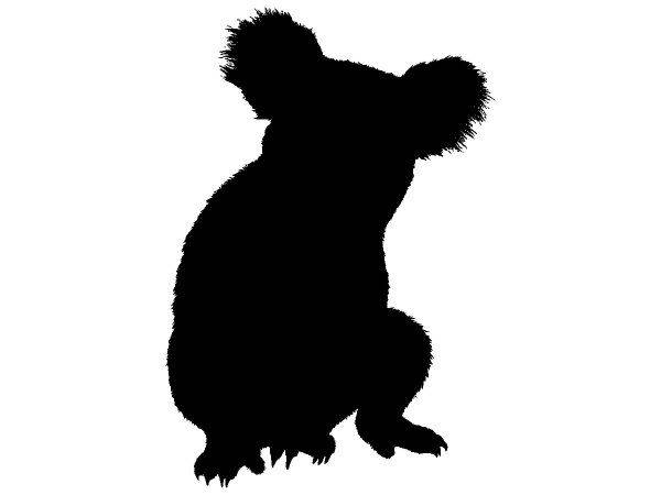 Животные 3034