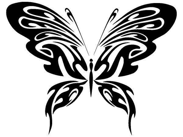 Животные 2567