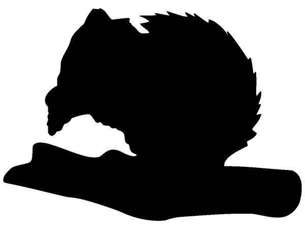 Животные 333