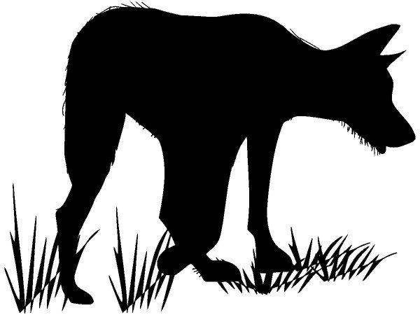 Животные 652 Животные 652