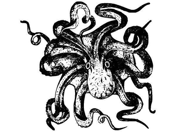 Животные 2613