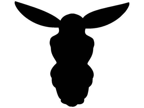 Животные 3284 Животные 3284