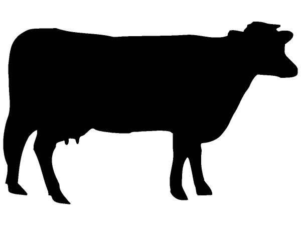 Животные 175