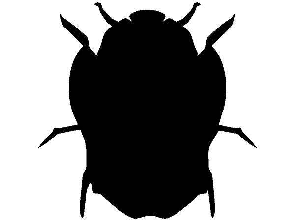 Животные 3063 Животные 3063