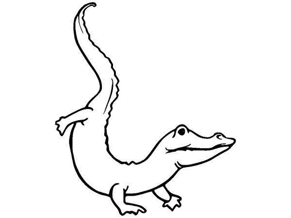 Животные 2836 Животные 2836