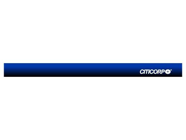 Citicorp logo2