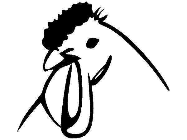 Животные 3217 Животные 3217