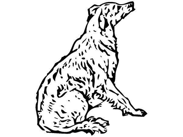 Животные 475