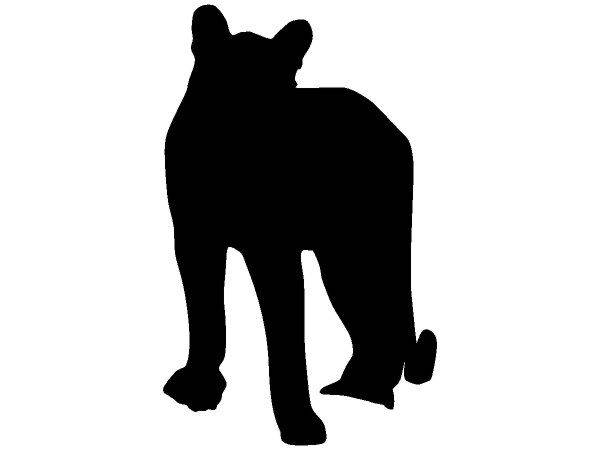 Животные 541 Животные 541