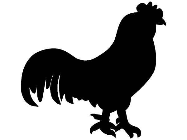 Животные 1220