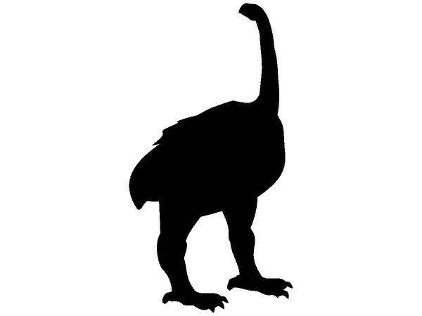 Животные 348