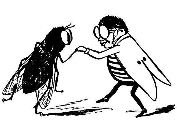 Животные 3436 Животные 3436