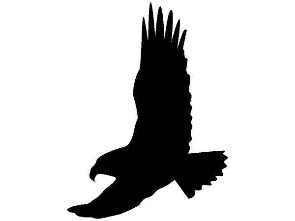 Животные 2733